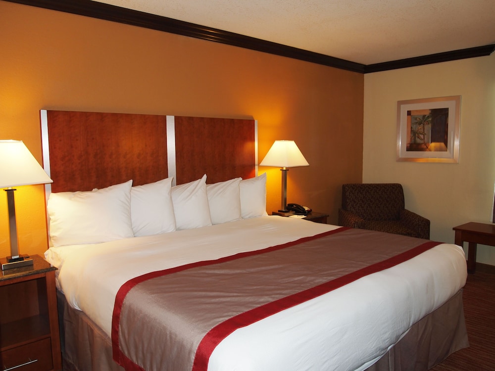 Suite, 1 King Bed, Non Smoking, Refrigerator & Microwave (with Sofabed) - Photo 3