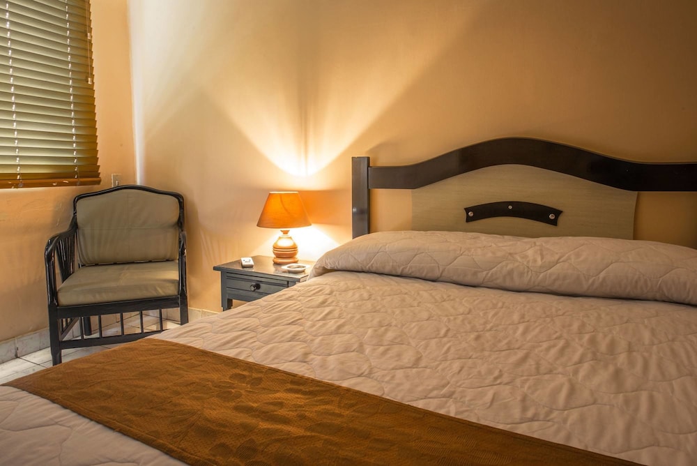 Basic Single Room photo 2