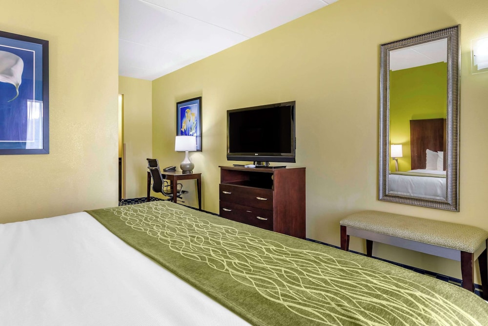 Suite, 1 King Bed with Sofa bed, Non Smoking - Photo 3