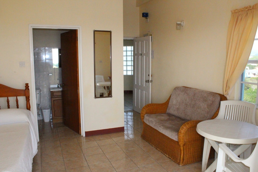 Room, 1 Twin Bed