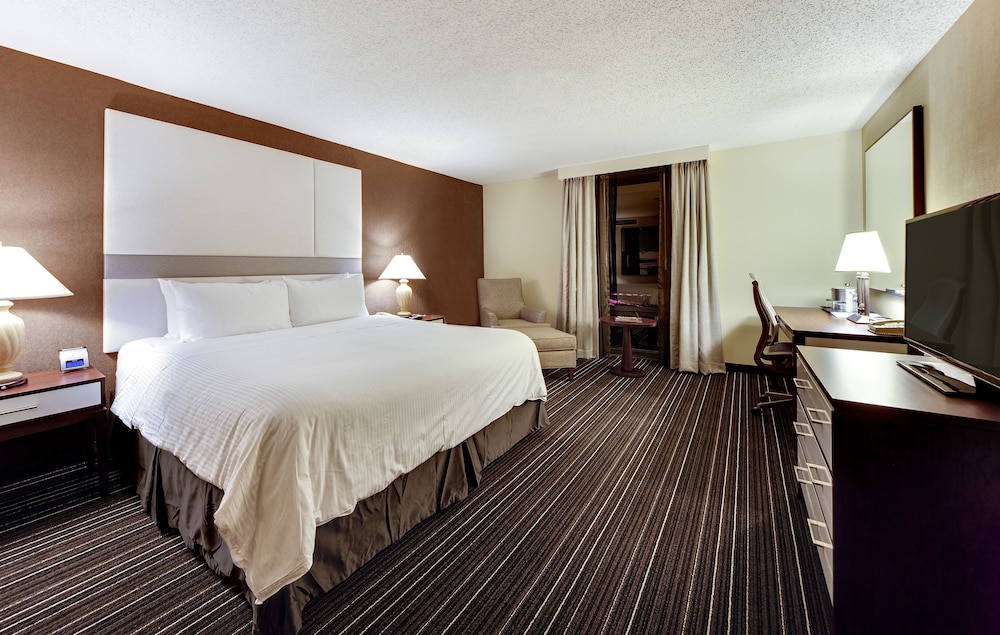 Suite, 1 King Bed with Sofa bed (Preferred Suite King) - Photo 1