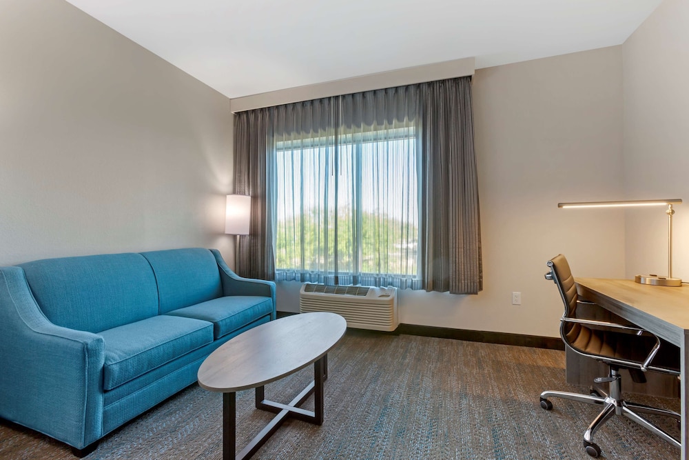 Standard Room, 1 King Bed, Non Smoking, Kitchenette (with Sofabed) - Photo 4