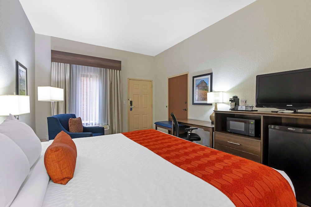 Standard Room, 1 King Bed, Non Smoking, Refrigerator & Microwave photo 2