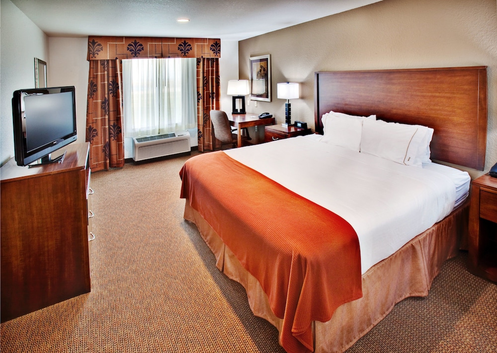 Suite, 1 King Bed photo 3