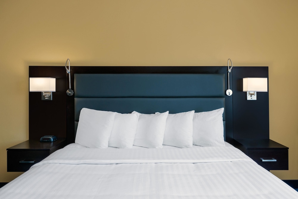 Business King Room - Photo 3