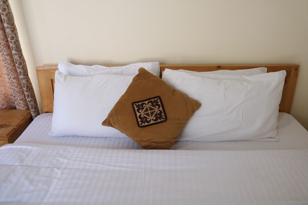 Deluxe Double or Twin Room photo 3