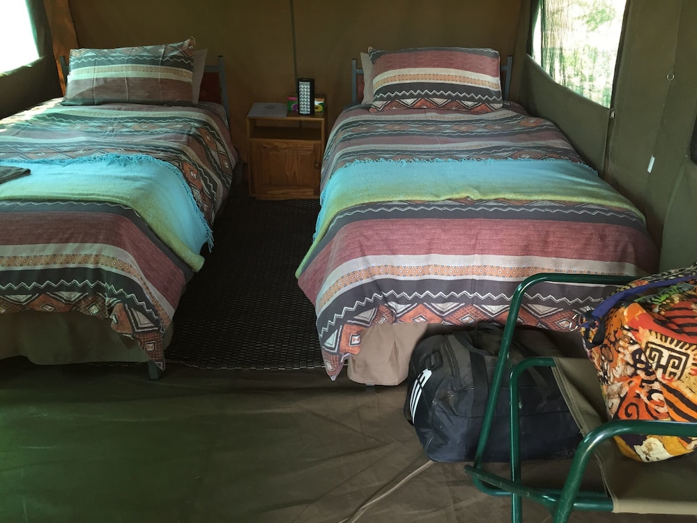 Twin Room photo 2