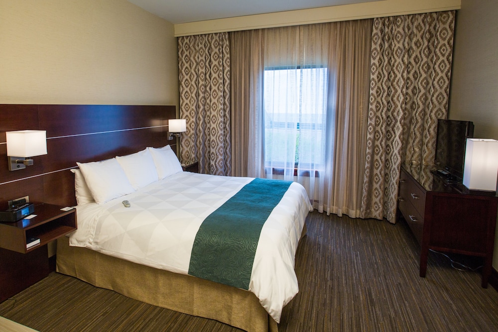 Suite, 1 King Bed, Accessible, Non Smoking - Photo 2