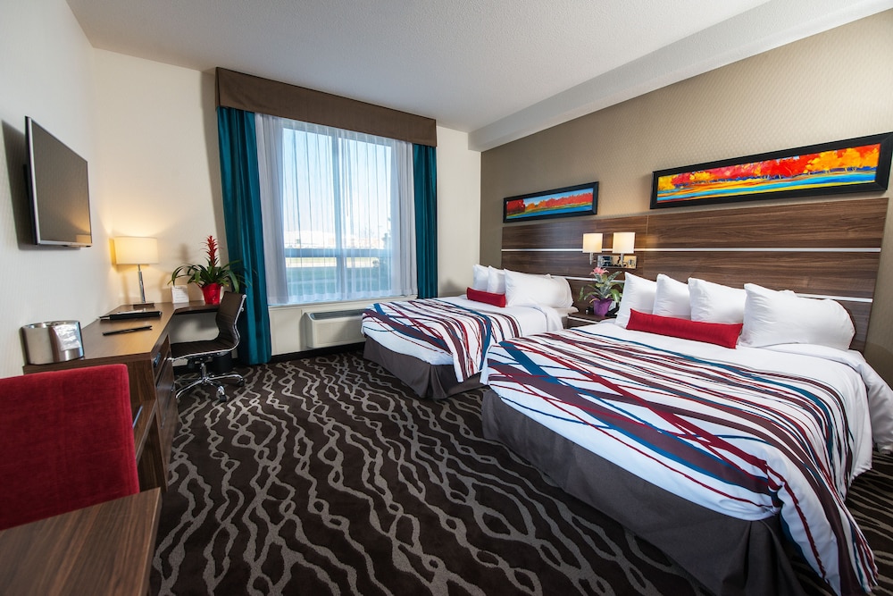 Standard Room, 2 Queen Beds photo 1