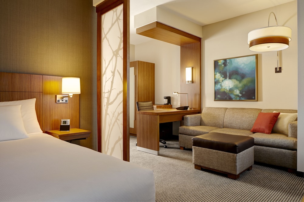 Suite, 1 King Bed with Sofa bed, Accessible photo 2