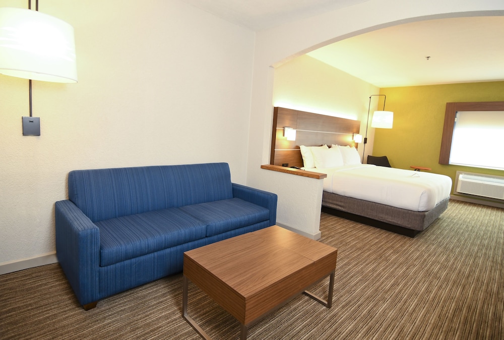 Suite, 1 King Bed - Photo 15