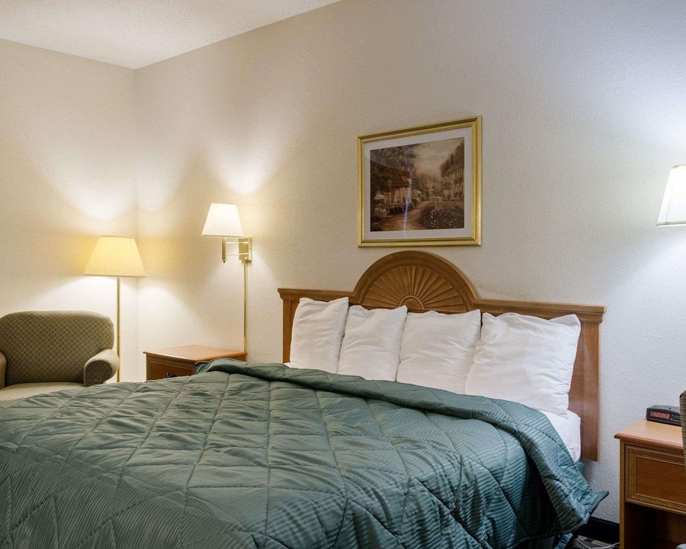 Standard Room, 1 King Bed, Smoking - Photo 1