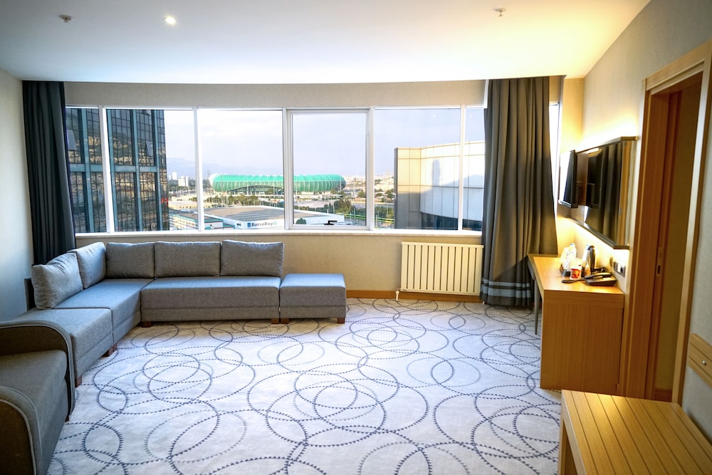 Business Suite, 1 King Bed, Non Smoking photo 3