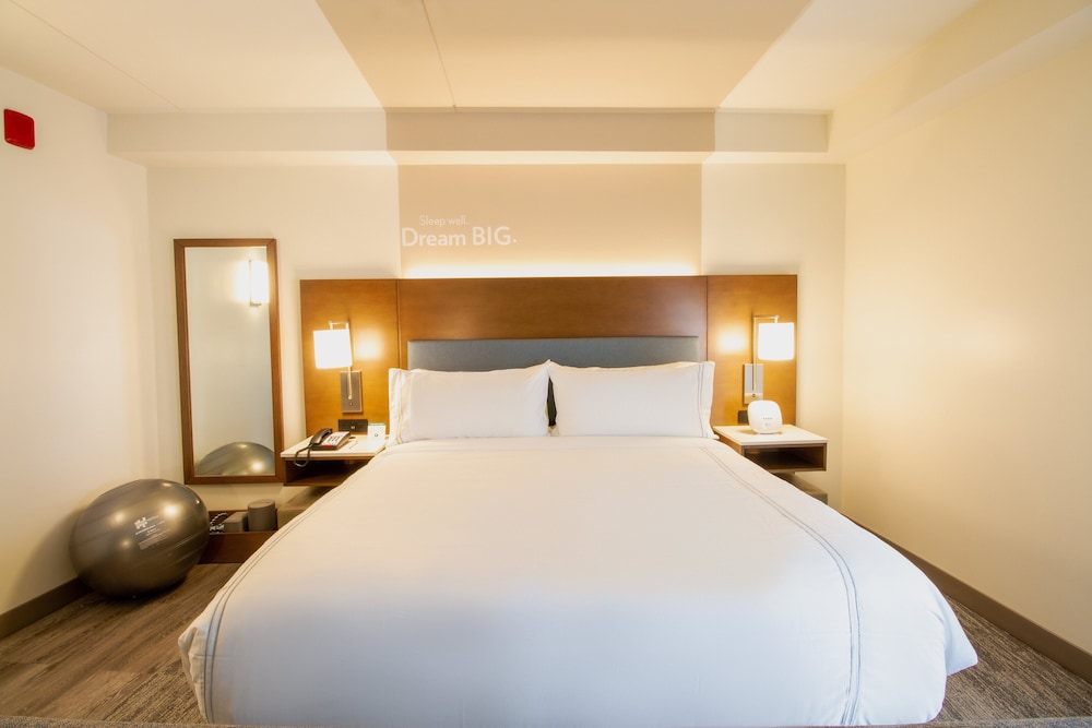 Suite, 1 King Bed, Roll-in Shower (Communications Accessible) photo 2