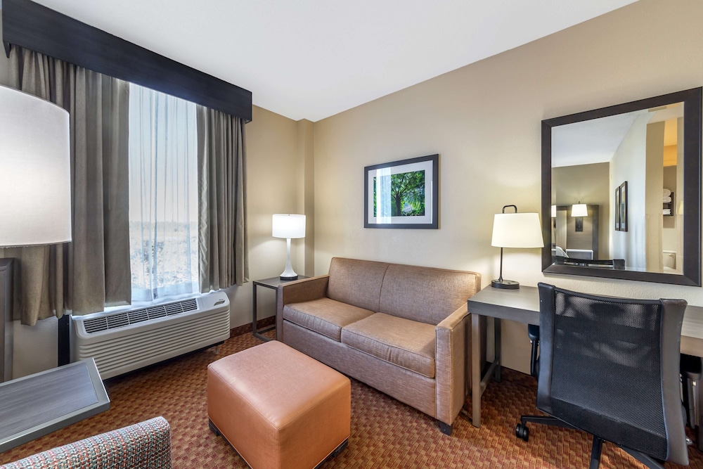 Suite, 1 King Bed, Non Smoking, Refrigerator & Microwave (with Sofabed) photo 2
