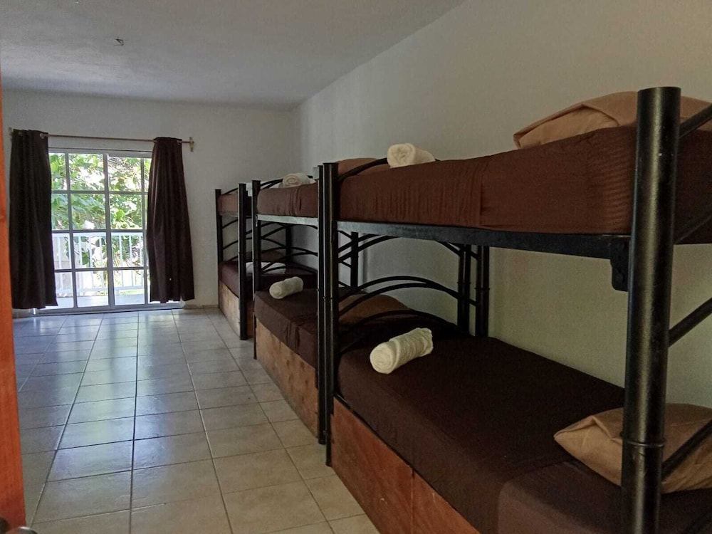Basic Shared Dormitory photo 2