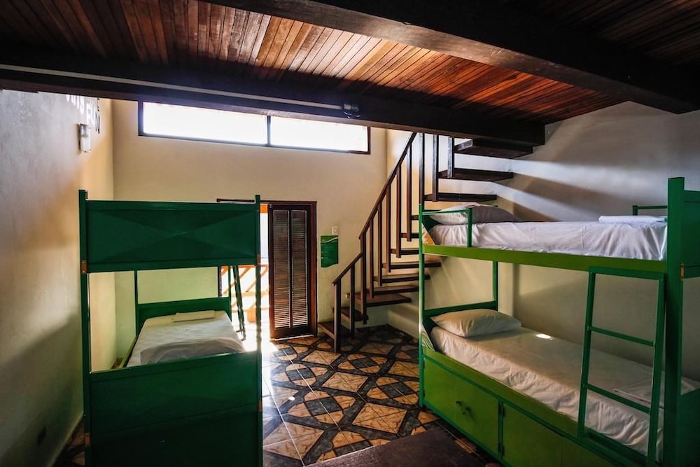 Shared Dormitory, Women only (10 beds) photo 3