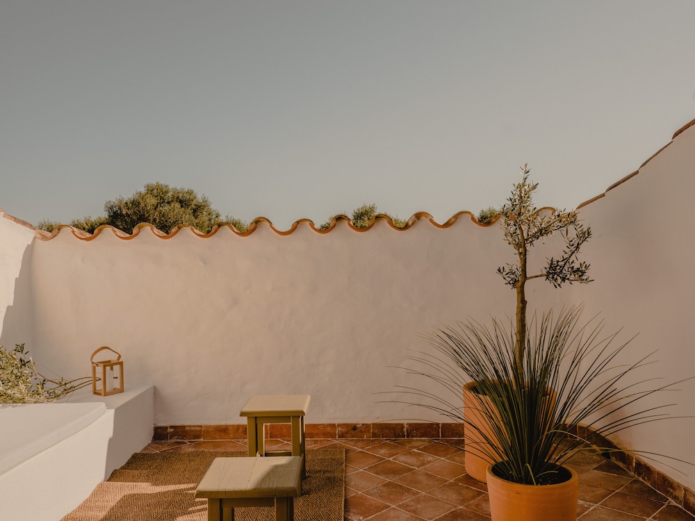 Suite, Terrace photo 2