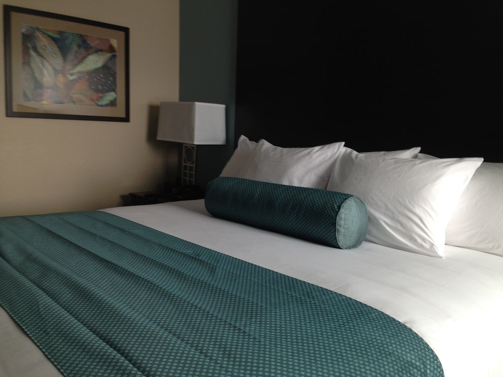 Suite, 1 King Bed, Non Smoking (Extended Stay) photo 3