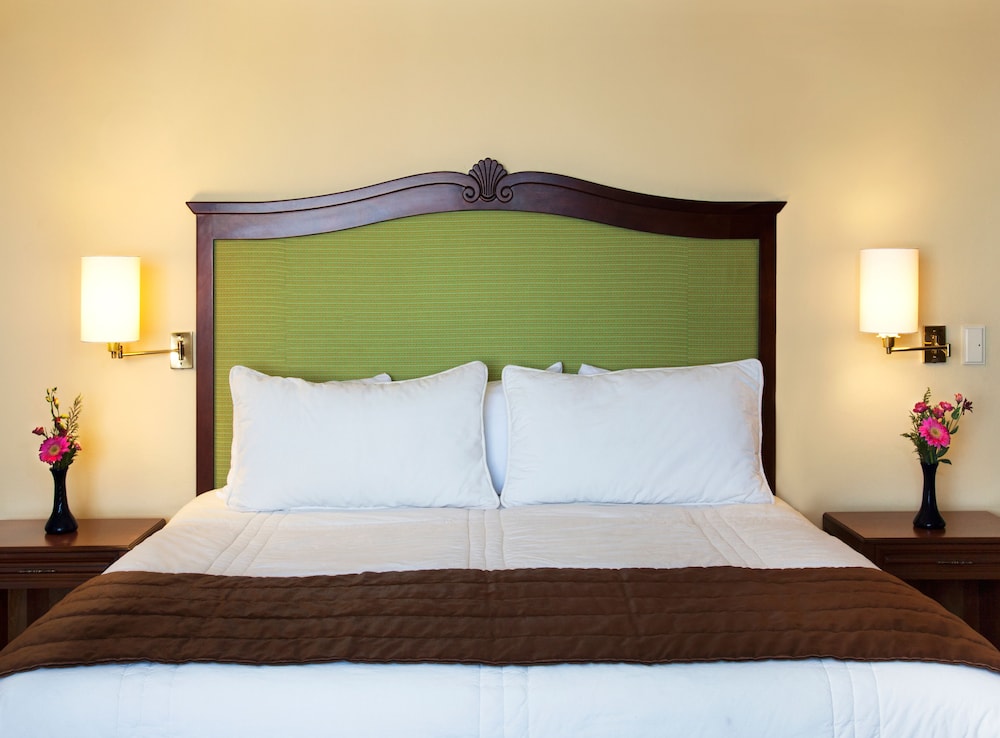 Standard Room, 1 Queen Bed photo 3