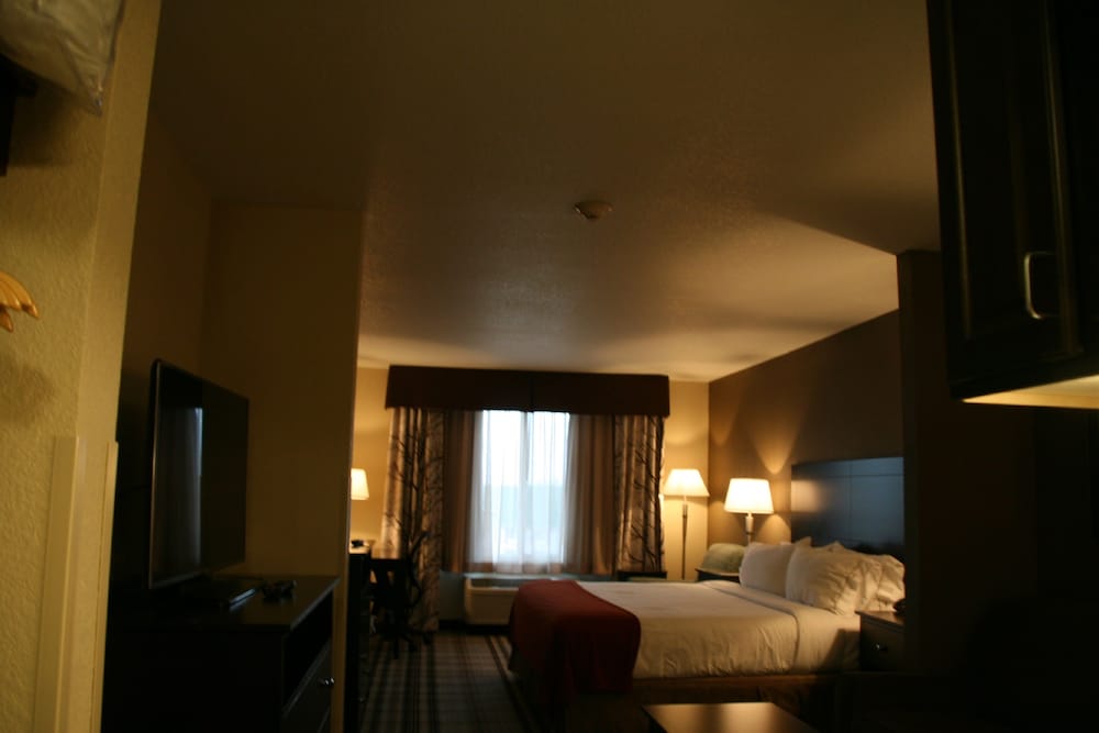 Suite, 1 King Bed (Additional Living Area) photo 2