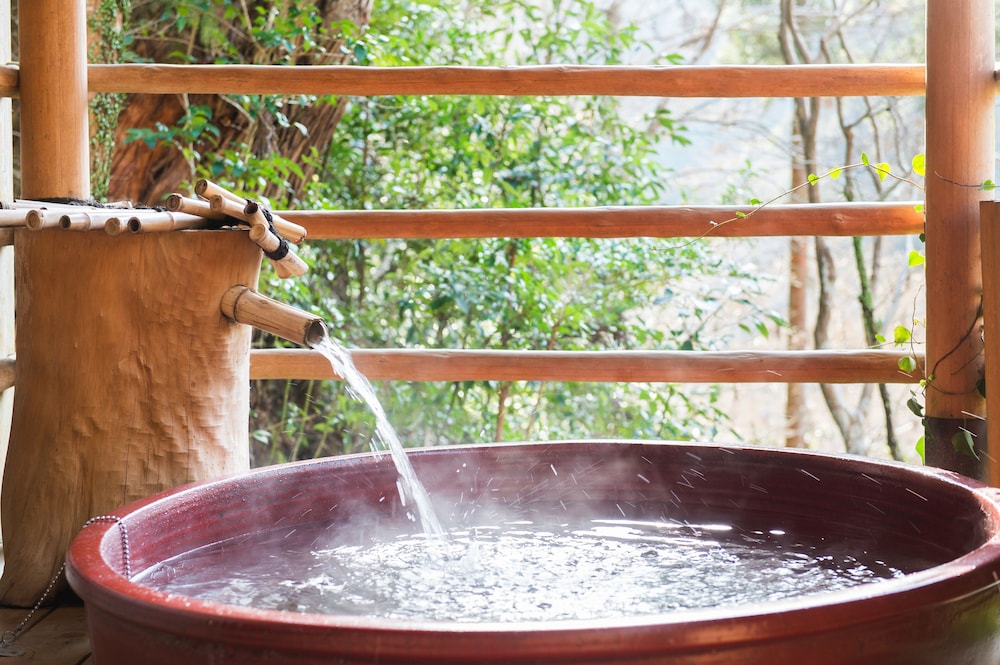 Annex Room With Open-Air Bath "Hototogisu" thumbnail 6