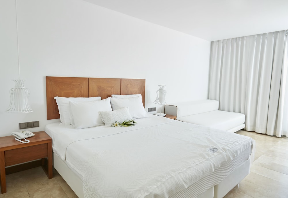 Deluxe Double Room Single Use photo 3