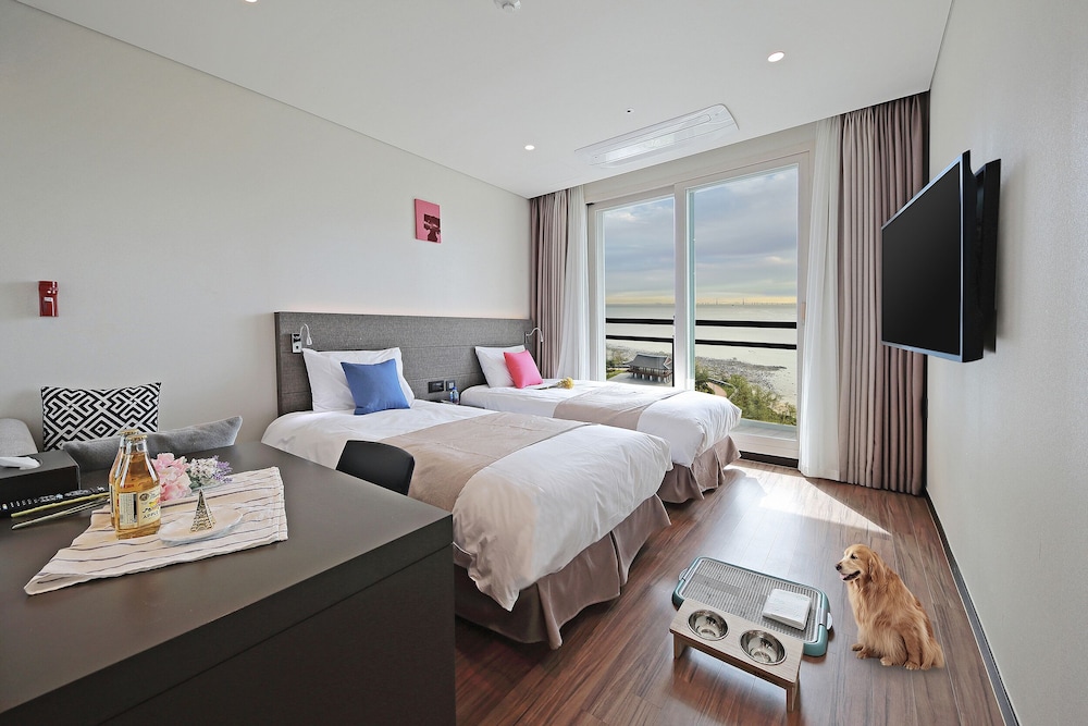 Premier Twin Pet Room, Park Ocean View/Terrace (Pet Room, Dog Only) - Photo 1