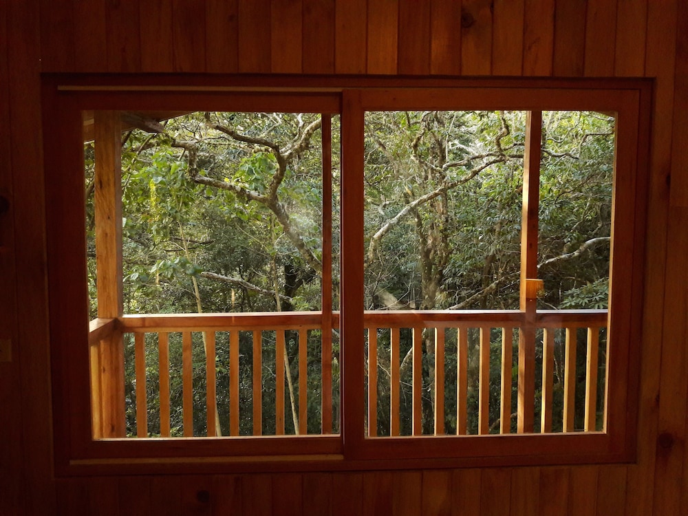 Classic Tree House, 1 Queen Bed, Mountain View photo 3