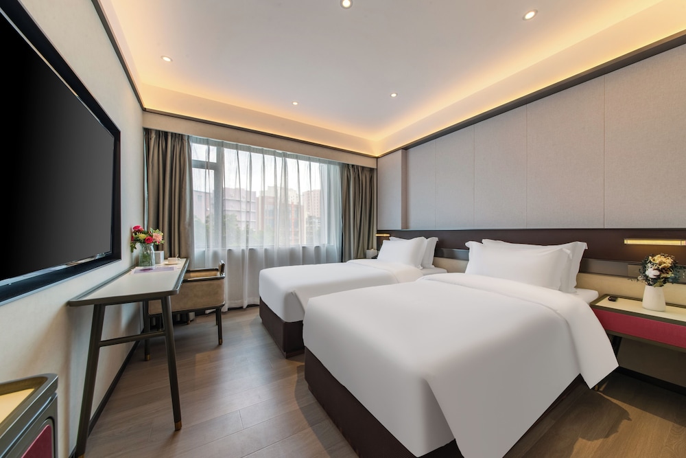 Basic Twin Room, Mountain View