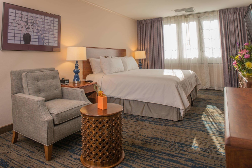 Deluxe Room, 1 King Bed photo 1