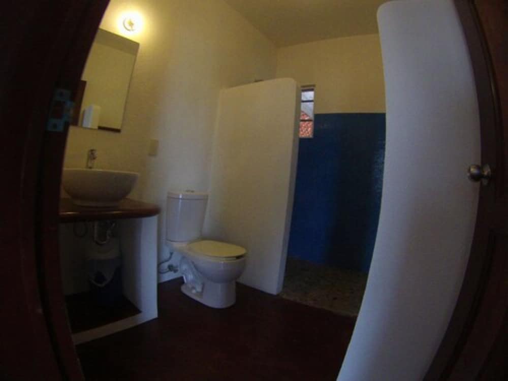 Basic Studio Suite, Kitchenette photo 3