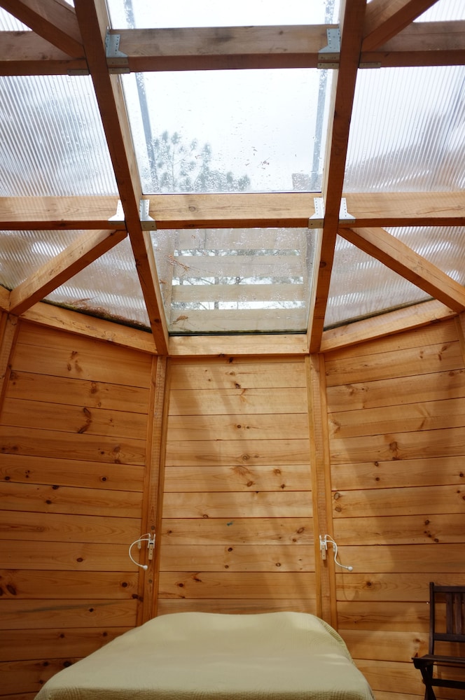 Family Tree House photo 1