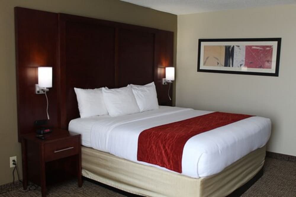 Standard Room, 1 King Bed, Non Smoking - Photo 7