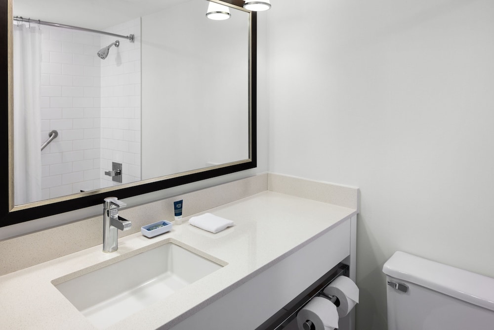 Suite, 1 Bedroom - Photo 4