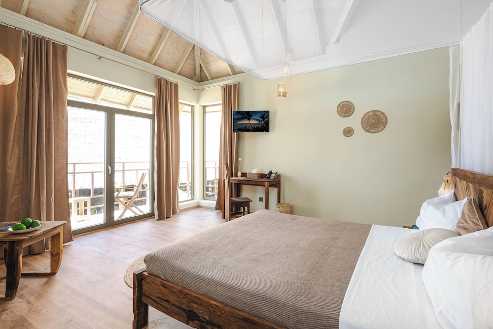 Luxury Studio Suite