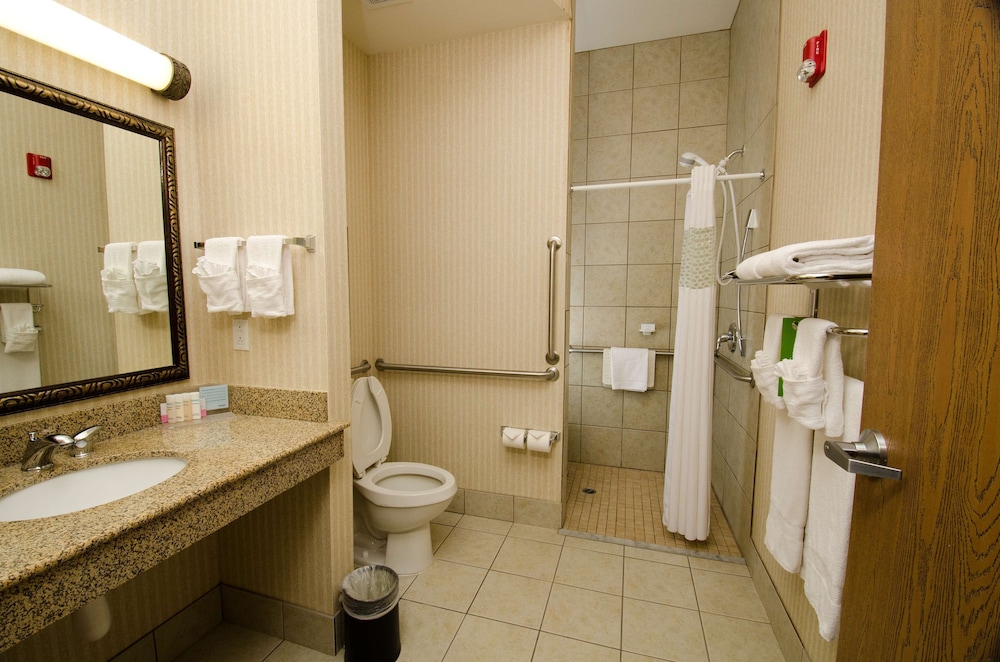 Studio, 1 King Bed, Accessible (Roll-In Shower) - Photo 3