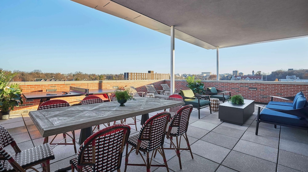 Suite, 1 King Bed, Terrace photo 1