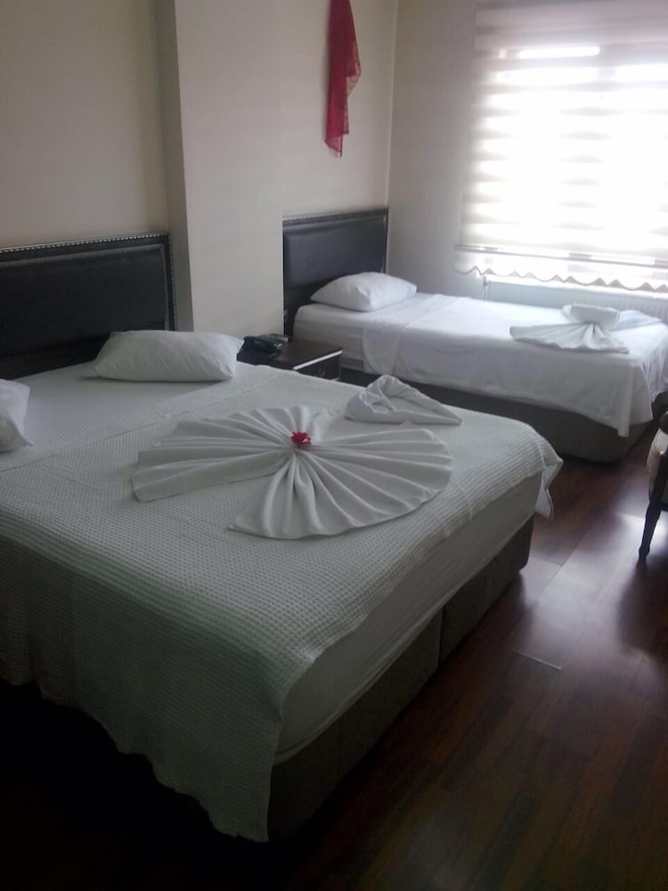Standard Double or Twin Room photo 3