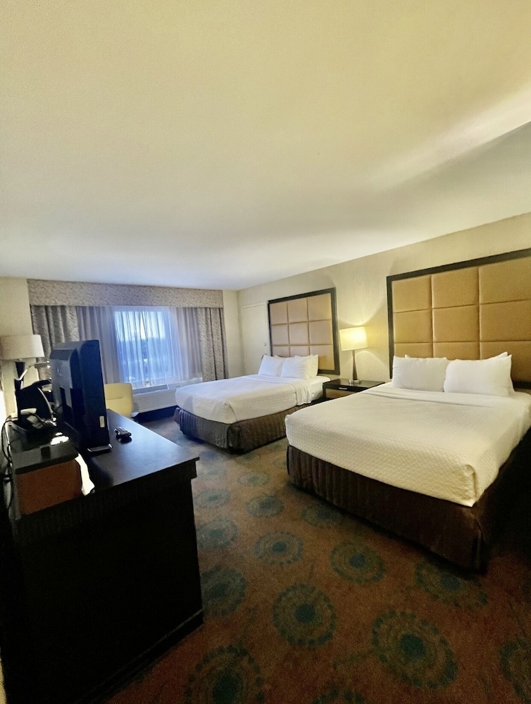 Executive Single Room, 2 Queen Beds, Non Smoking, City View photo 3