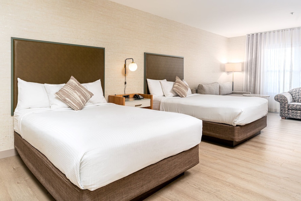 Basic Room, 2 Queen Beds photo 1