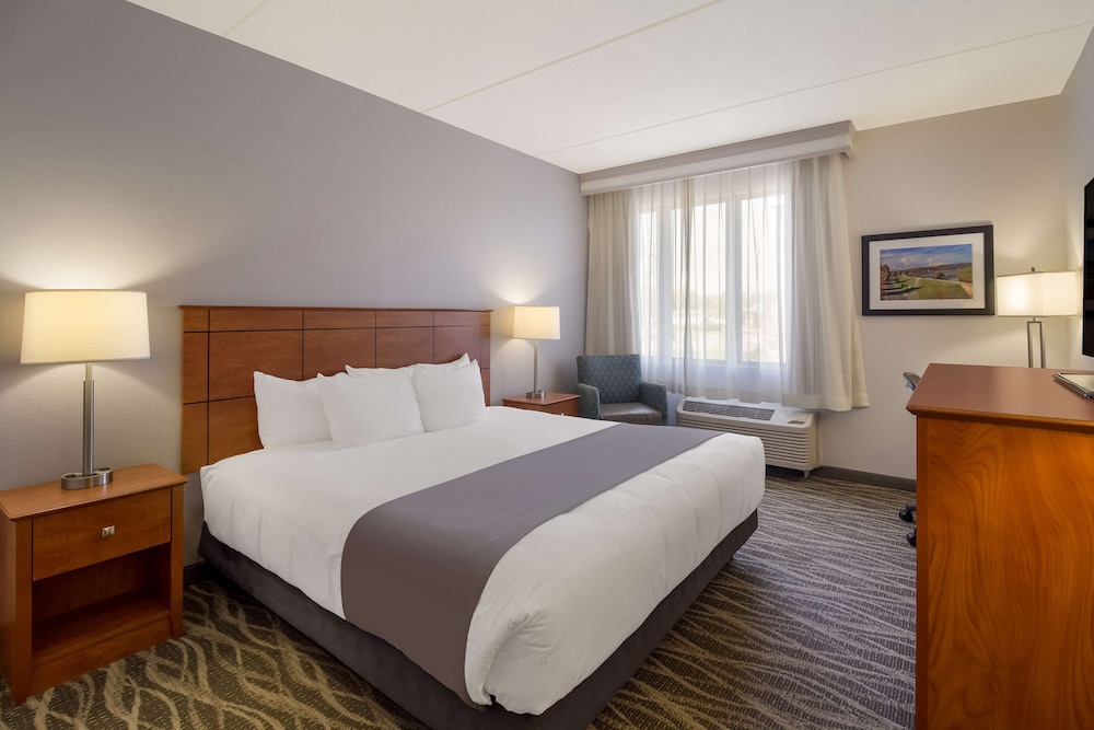 Standard Room, 1 King Bed, Accessible, Refrigerator & Microwave photo 1