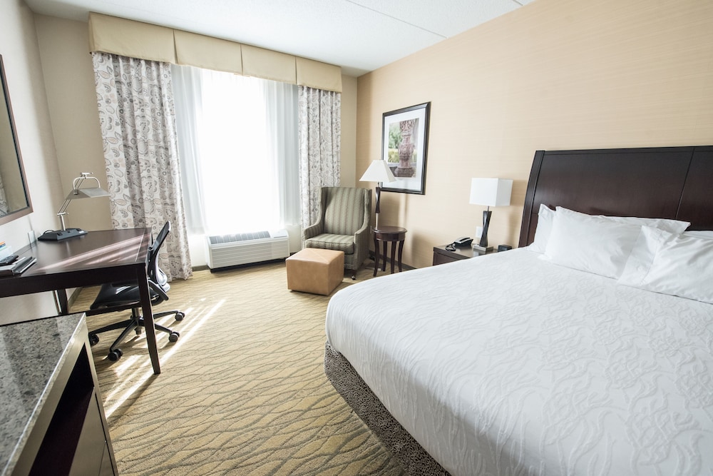 Room, 1 King Bed, Accessible photo 3