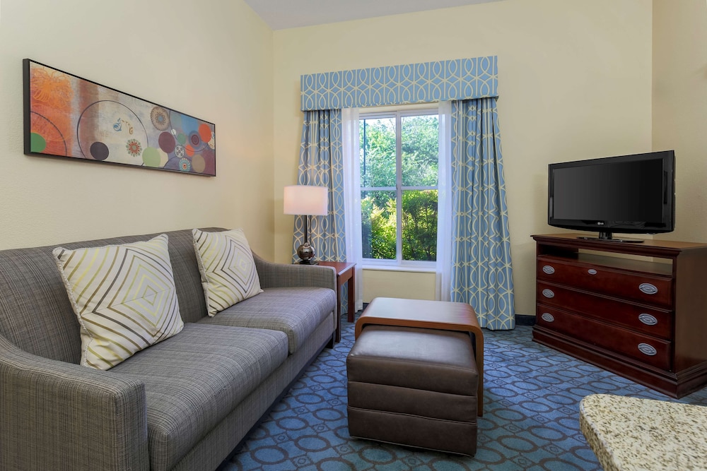 Suite, 1 King Bed, Non Smoking (Homewood) - Photo 4