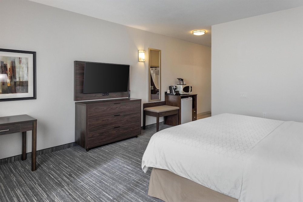 Standard Room, 1 King Bed, Accessible, Non Smoking (Dining Table) - Photo 2