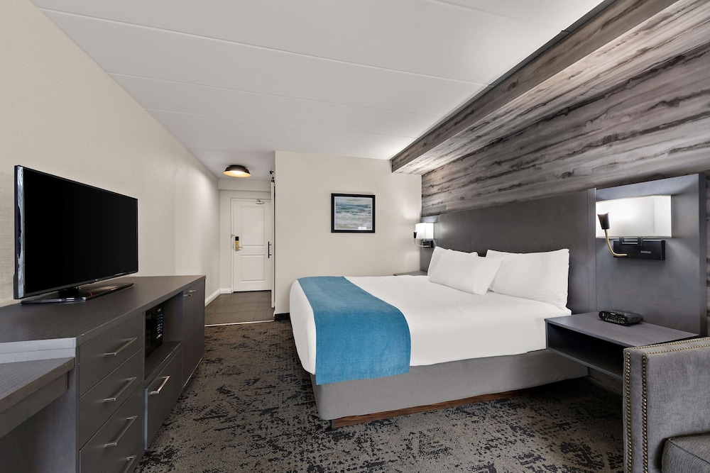 Standard Room, 1 King Bed, Non Smoking, Balcony (Walk-in Shower;with Single Sofabed) - Photo 3