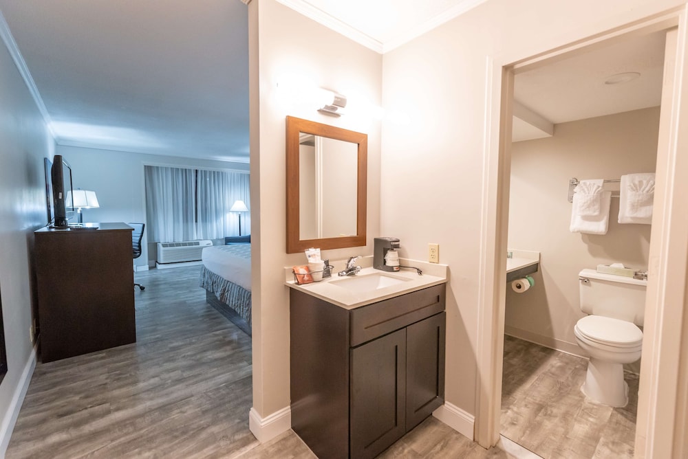 Deluxe Room, 1 King Bed, Non Smoking, Refrigerator & Microwave photo 3