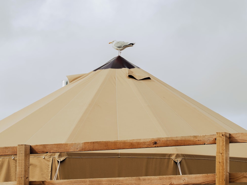Tent photo 2