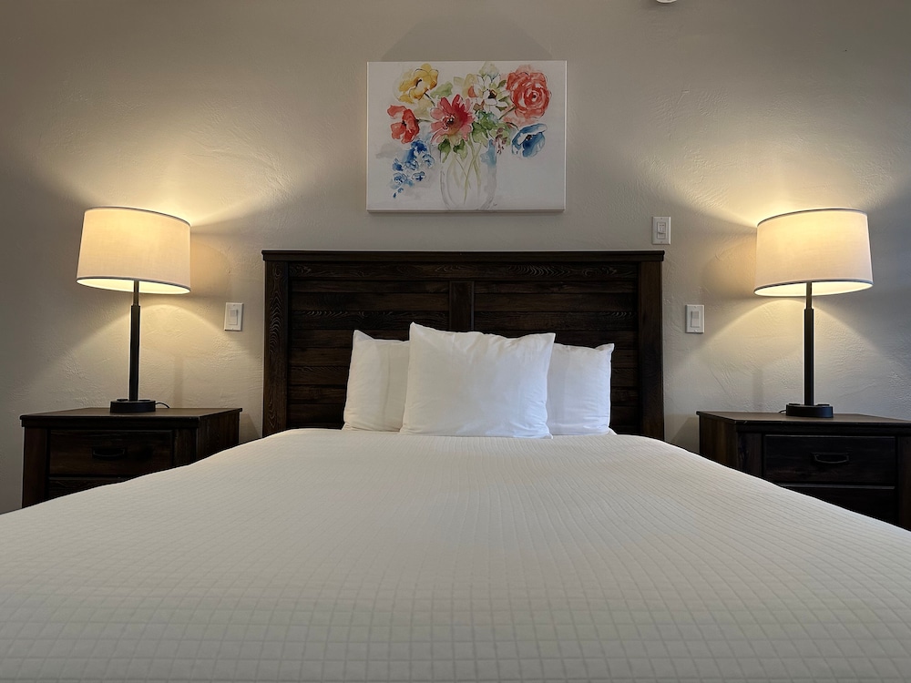 Room, 1 Queen Bed photo 3