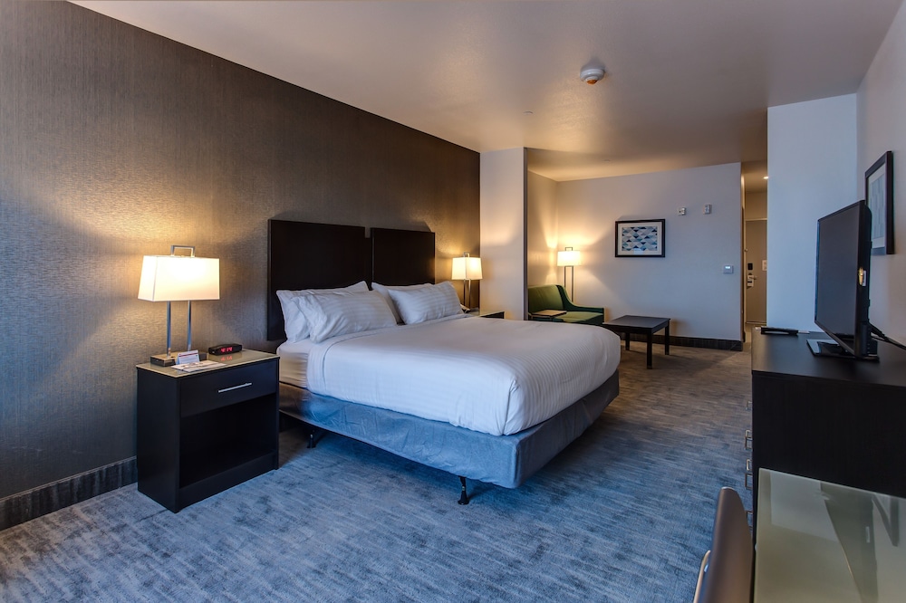 Suite, 1 King Bed, Accessible (Communications) photo 2